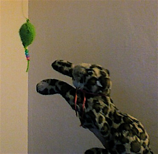 Snapshot_2010-04-13_19-30-30_medium_small2
