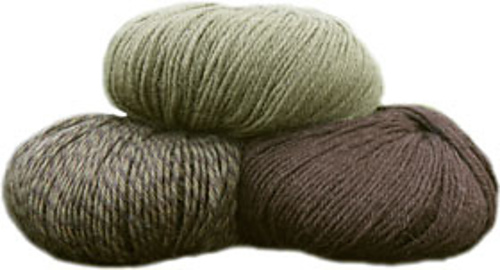 Sterk-gruppe_medium