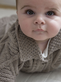 Diamond_bunting_d_lg_small2