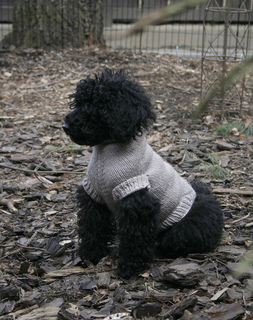 Hannahsweater_small2