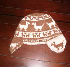 Llama-hat_small