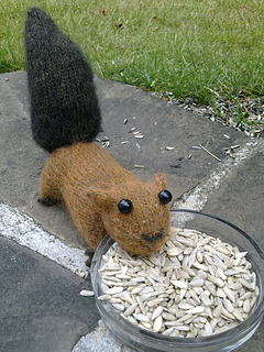 Bild3165_small2