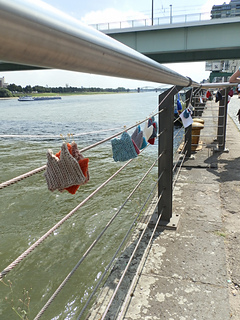 P8171038_small2