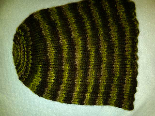 Img00332-20100201-2203_small2