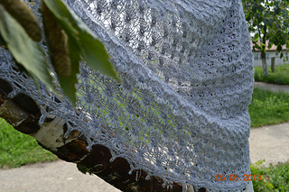 Dsc_0289_small2