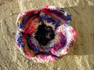Anemone_4_small2