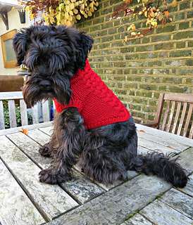 Ravelry: Dog Jumper pattern by Bonny Bonafilla