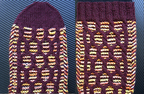 Toe_and_leg_medium
