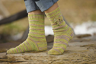 Samba_sox-big_small2