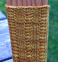 Fern_close_front_small