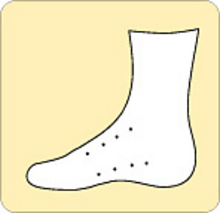 Foxglove_master_sock_small2
