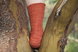 Minnesota_heel_back_small2