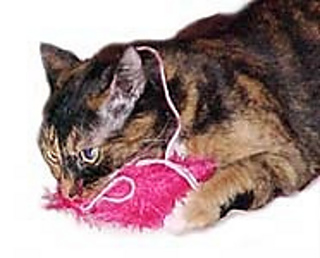 Image_small2