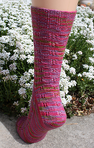 Inbloomback_medium