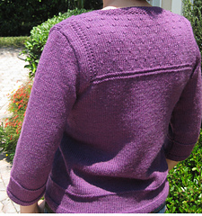 Hb-_back_view_close_up_cropped_small