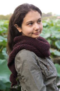 _igp9341_small2