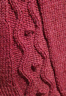 Gorgeous_close_up_small2
