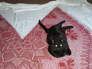 Tizianatestknit015_small2