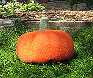 Connecticut-pumpkin2-for-rav_small2