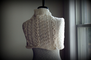 Lansing_cowlshrug_back_small2