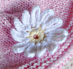 Lazydaisy_small