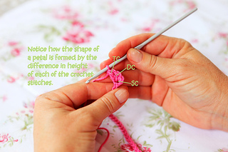 Crochet_rose_8_1_small2