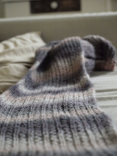 Pb024424_small2