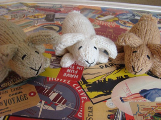 Bunny_3_small2