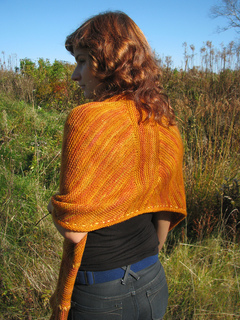Field_and_forest_029_small2