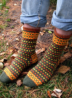 Fall_foliage_socks_main_image_1--re-sized_small2