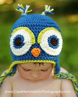 Owl2_small2