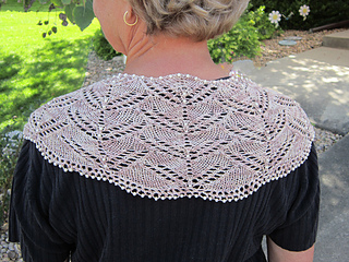 H95back-1024_small2