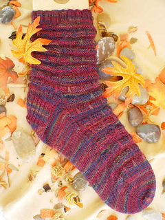 Tsc0510f_small2