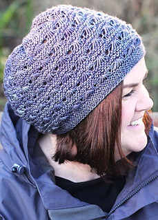 Carapace_-_chilly_small2
