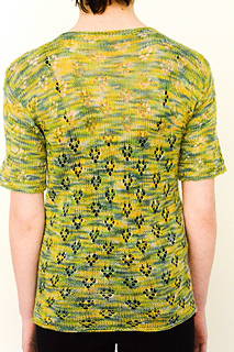 Genista_back_small2