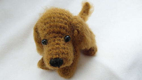 Spaniel3_medium