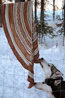 Misae_hunde_01_small2