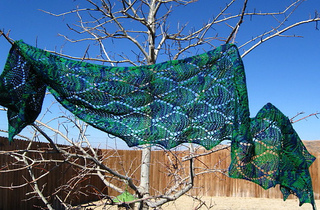 Finished_scarf_2_small2