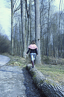 Dsc02766_small2