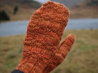 Treacle_toffee_8_small2