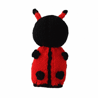 Ladybird2_small2