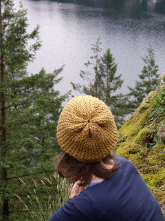 Organic_intuition_hat_010_small2