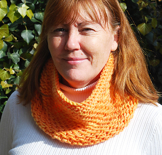 Lucinda_cowl2_small2