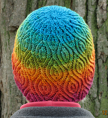 Almond_hat_in_parakeet_3_small