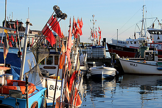 Img_5471_small2