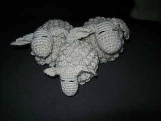 2013_schaapjes__1__small2