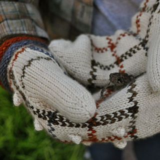 Dsc_0078_small2