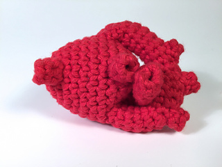 Ravelry: Crocheted Anatomical Human Heart Pattern pattern ...