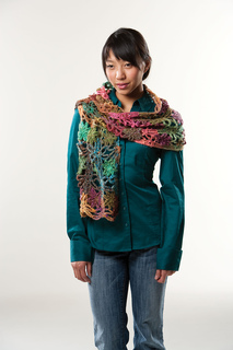 Intw_cic_20090210_0483_small2