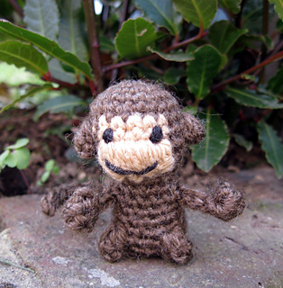 Mini_monkey_05_small2